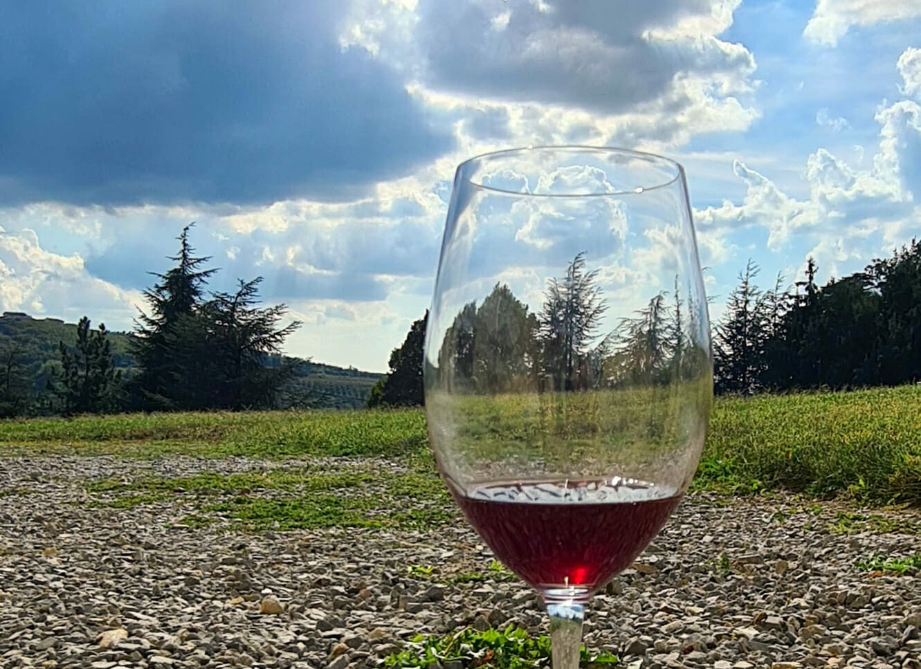 nebbiolo